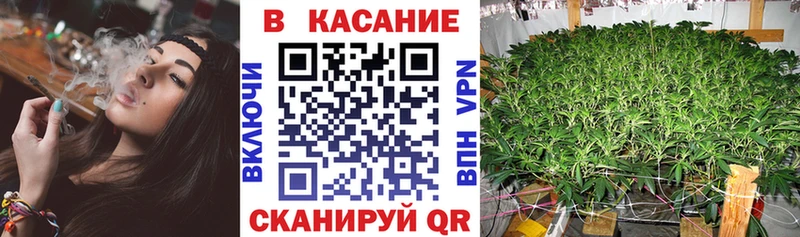 APVP Талица