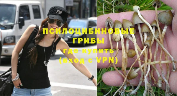 mdpv Алзамай