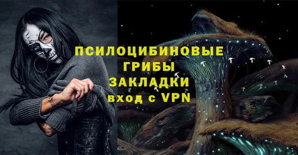 кокс Алексеевка