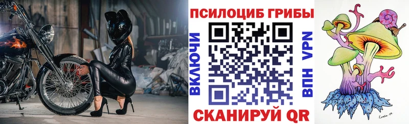 Галлюциногенные грибы MAGIC MUSHROOMS  mega ТОР  Талица 